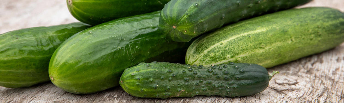 How to Grow Cucumber Plants