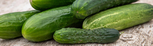 How to Grow Cucumber Plants