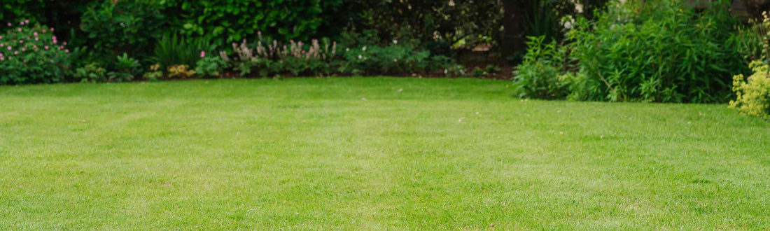 Repairing Lawns