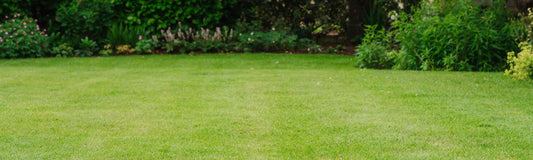 Repairing Lawns