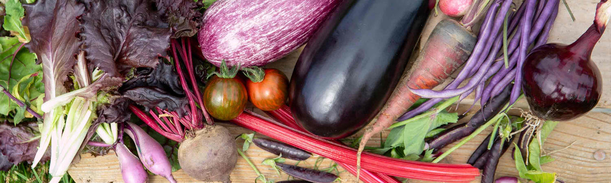 Vegetable Plants