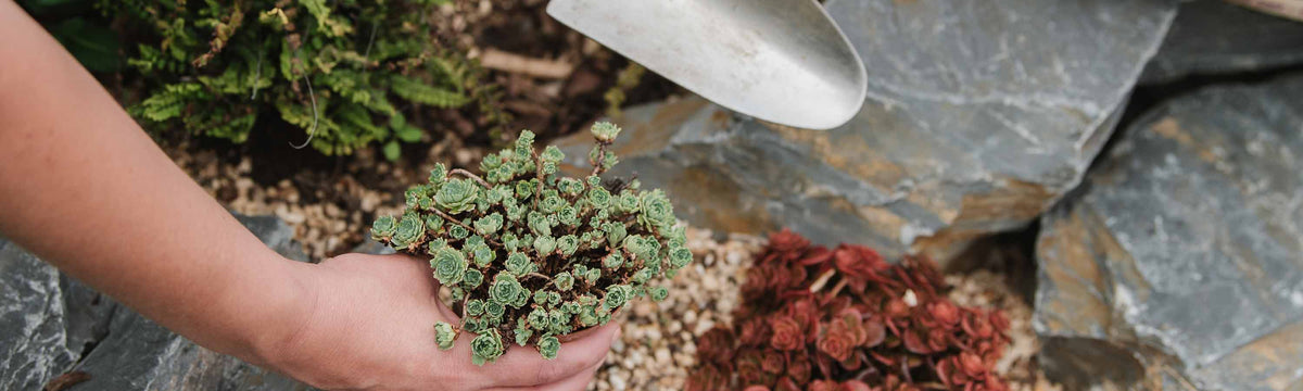 Alpine Compost