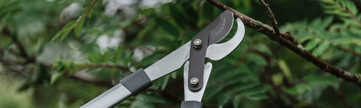Tools Clearance