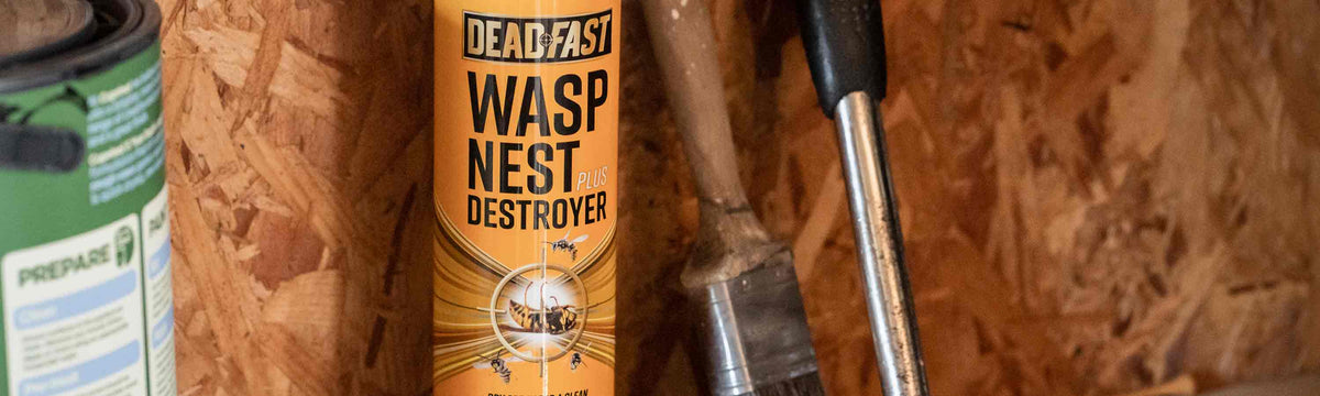 Deadfast