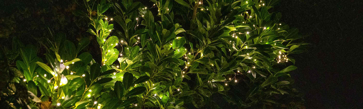 Hanging Star Light