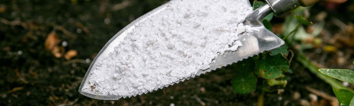 Perlite