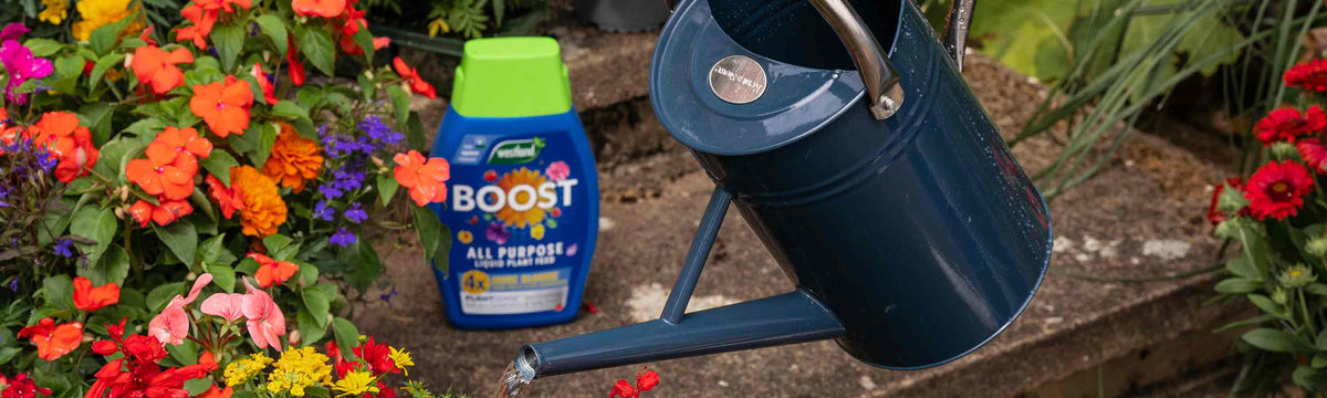 Boost