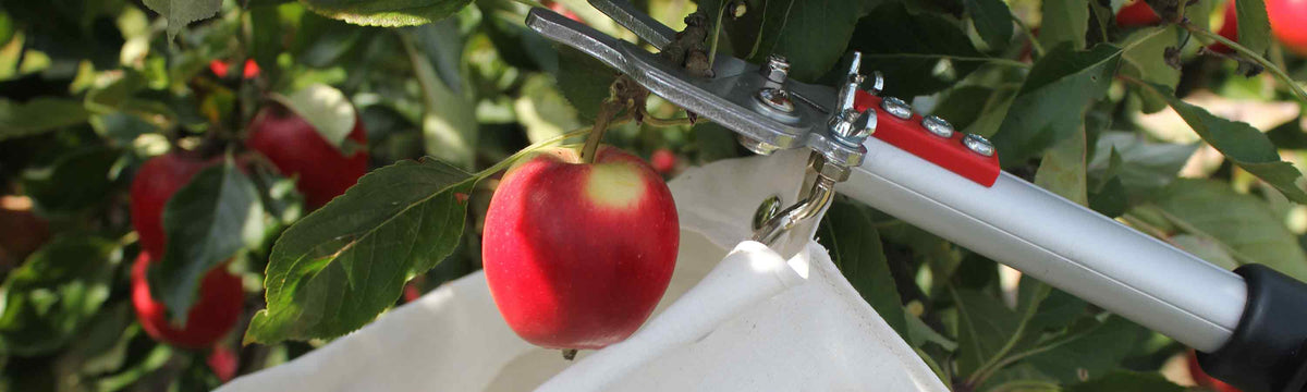 Fruit Pickers & Harvesting Tools