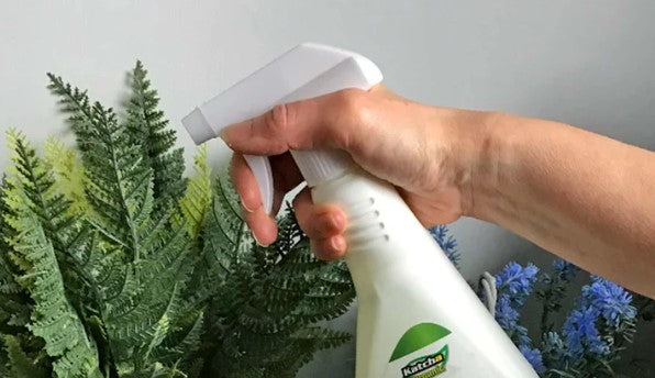 Insect Pest Control