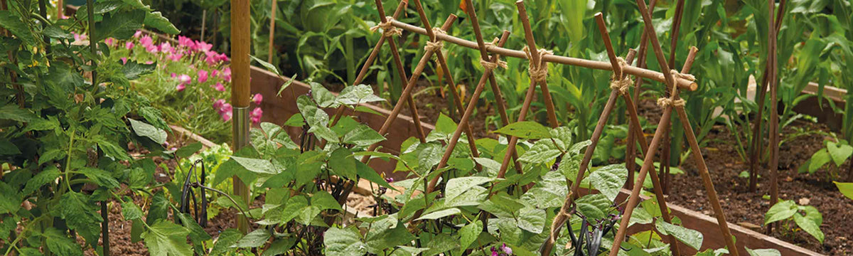 Fruit Growing Accessories