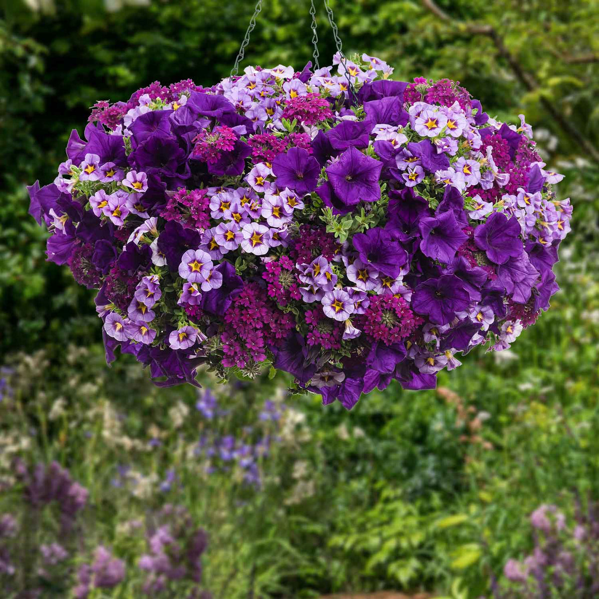 Superplugs Nursery Offer