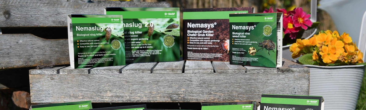 Nematodes