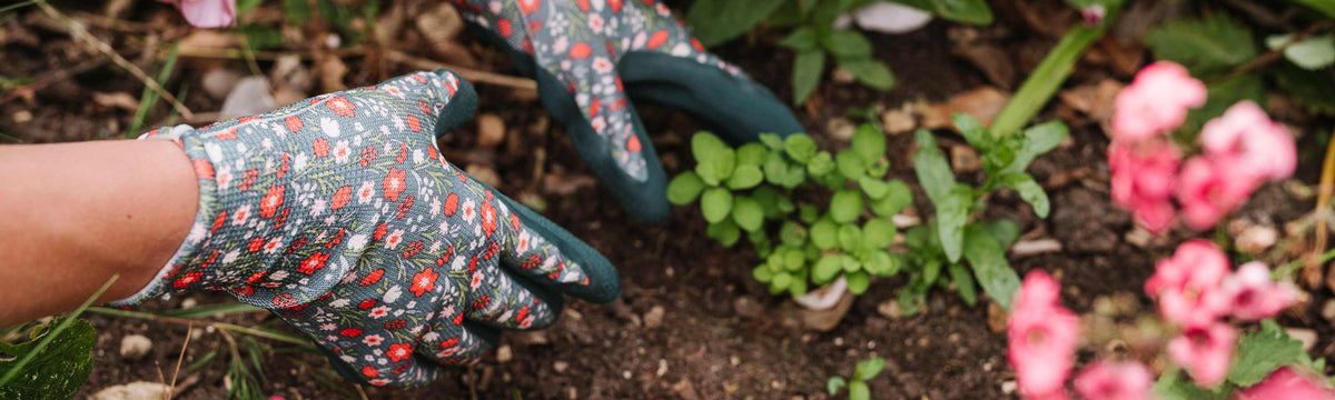 Path, Patios and Drive Weed Control