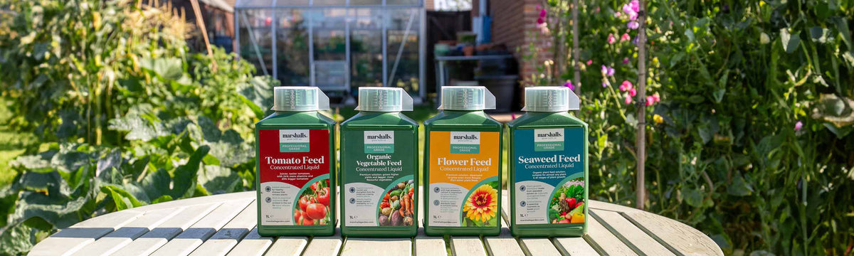 Fruit & Vegetable Plant Food