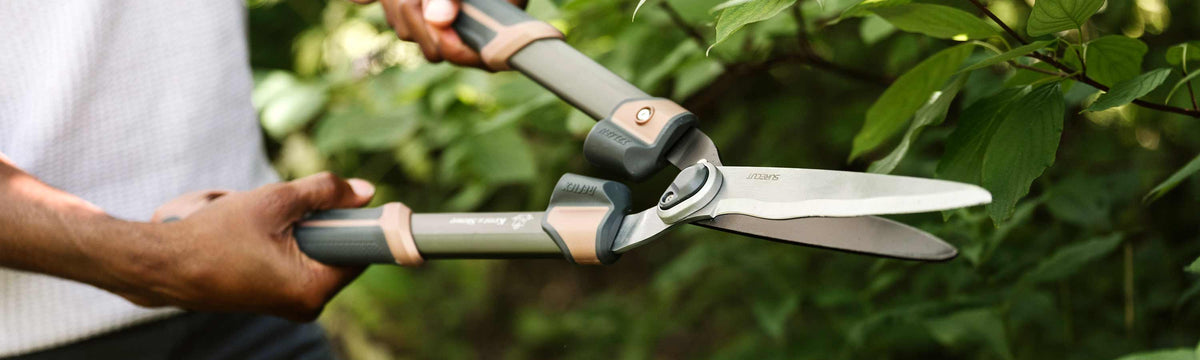 Hedge Shears