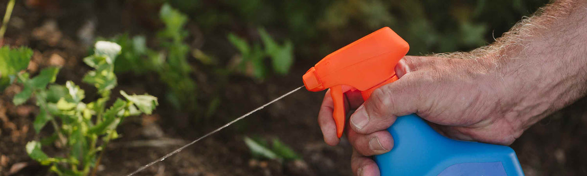 Weed Control