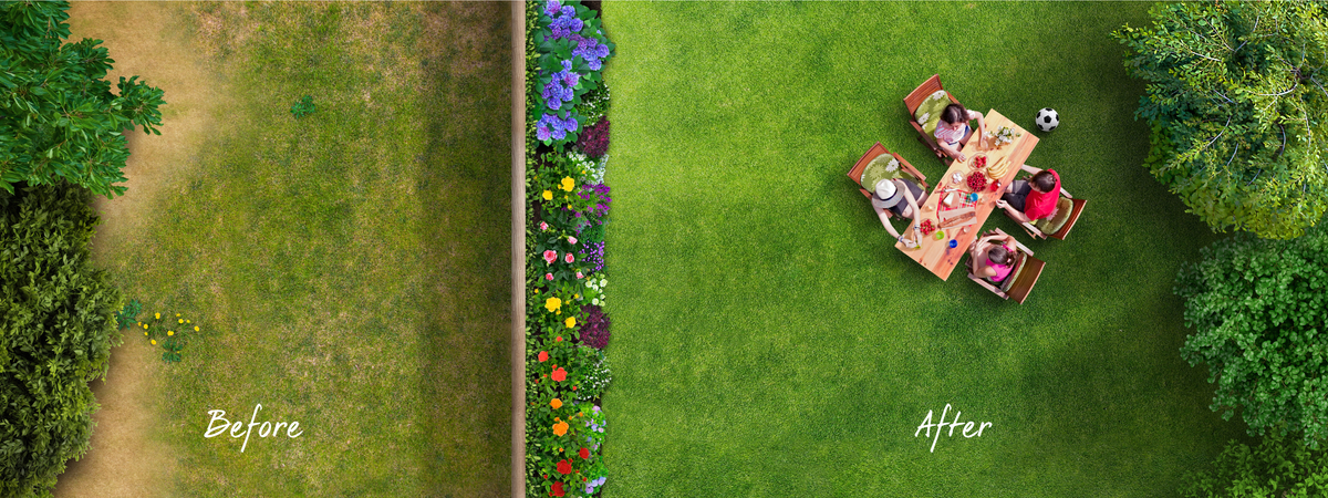 Lawn Care Products