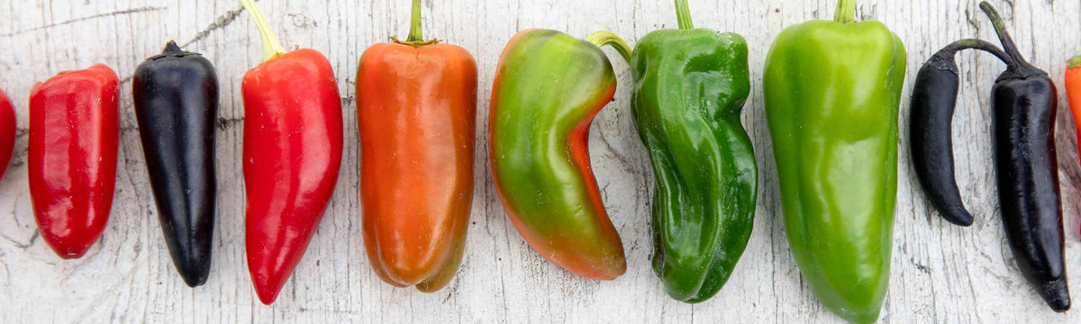Up to 60% off Tomatoes, Chillies & Peppers