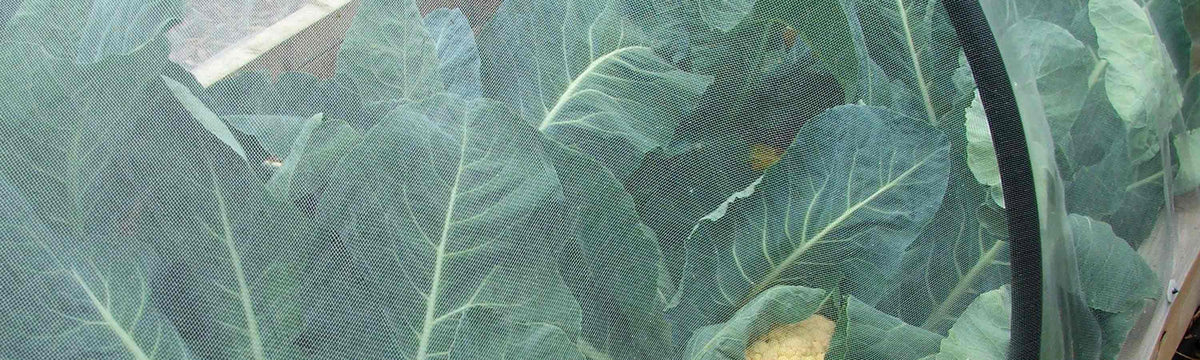 Insect & Bird Netting