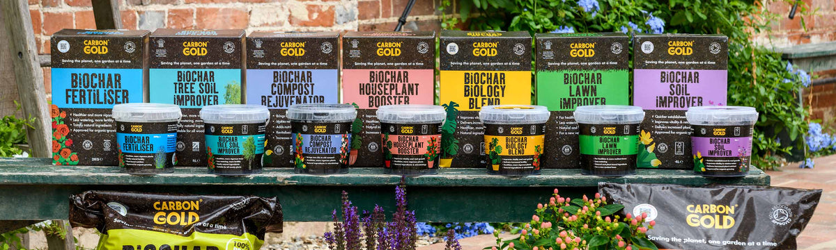 Carbon Gold - BOGOF Offer