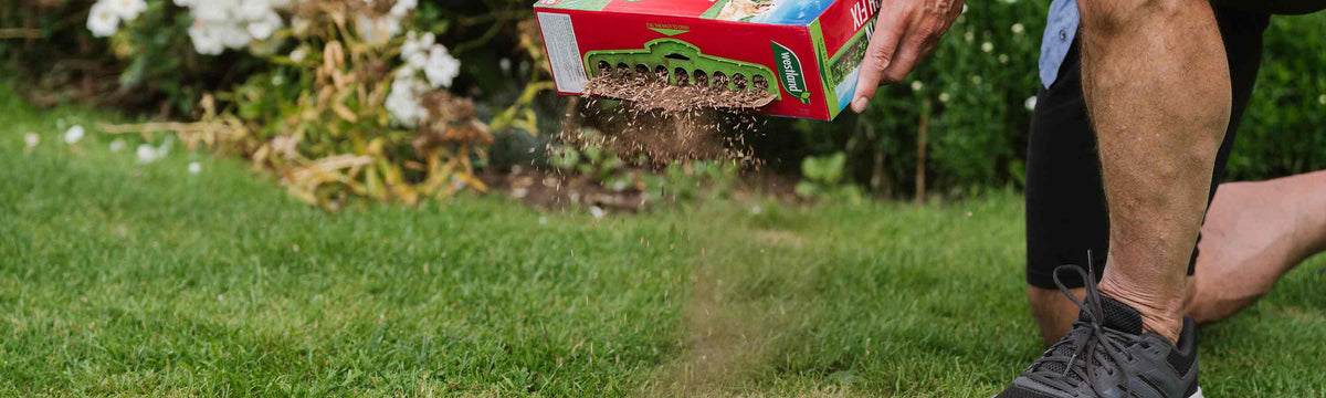 Lawn Patch Repair