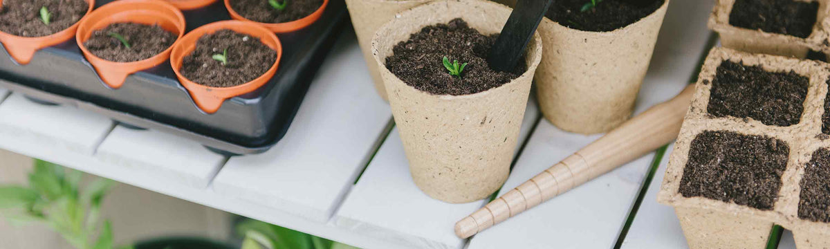 Plant Protection