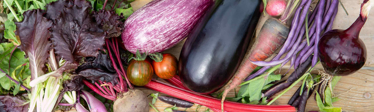 Vegetable Plants Available Now