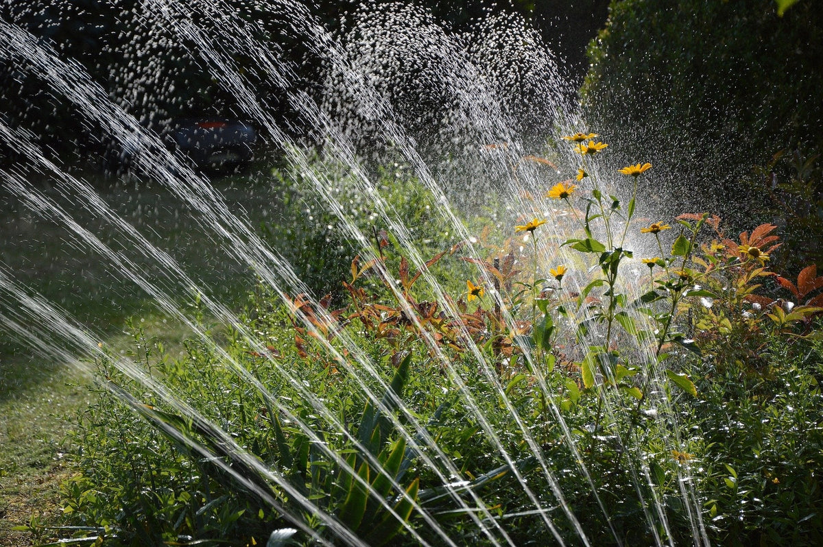 Lawn Sprinklers & Spray Guns