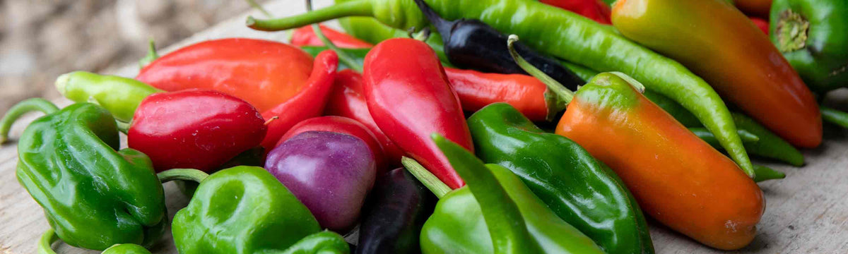 Chilli & Pepper Plants
