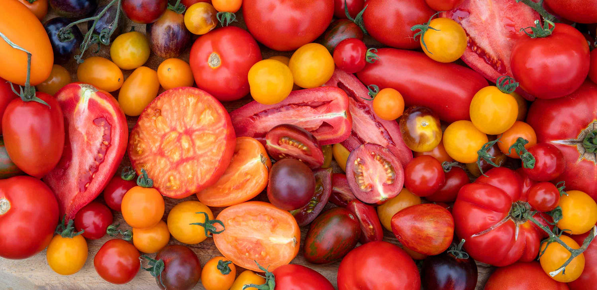 Tomato Daily Deal