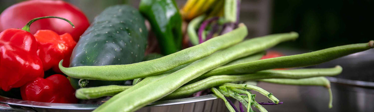 Vegetable Seeds