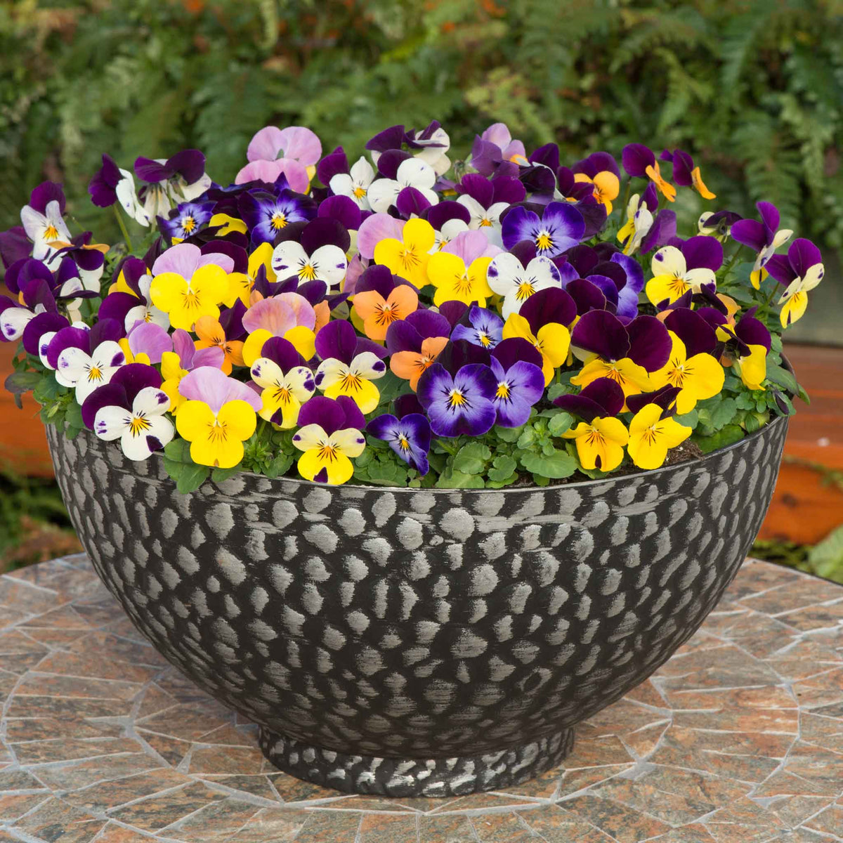Gardeners World GWSP102