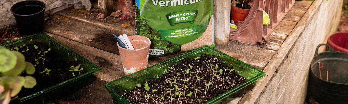 Vermiculite