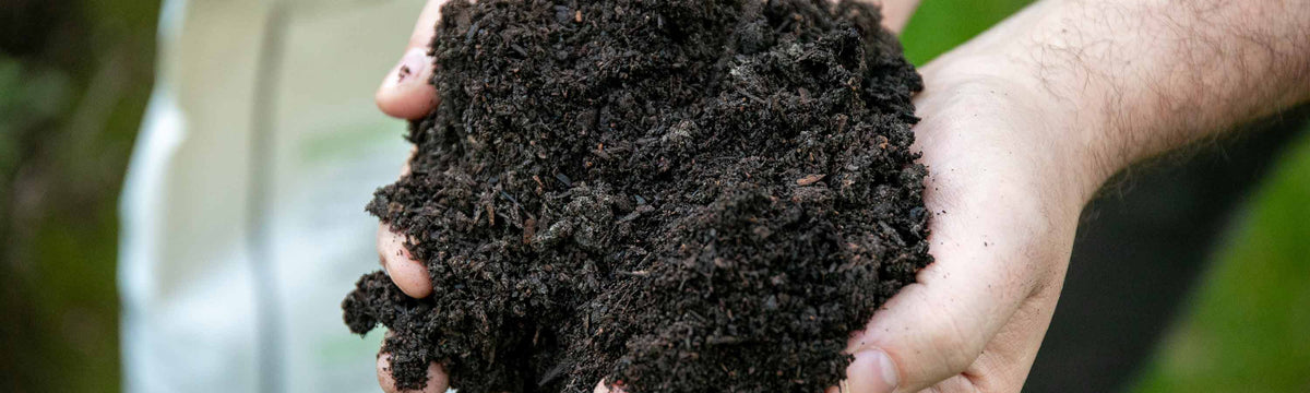 All Purpose Plant Food