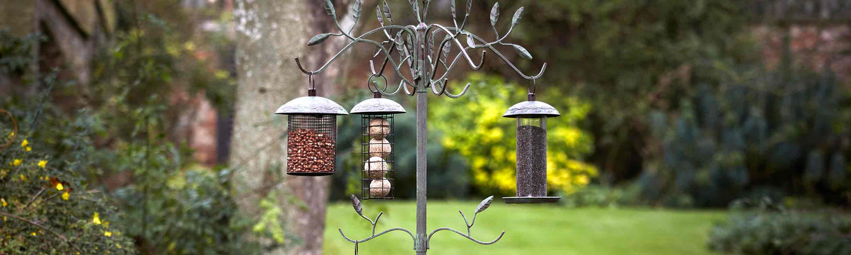 Bird Accessories & Hygiene