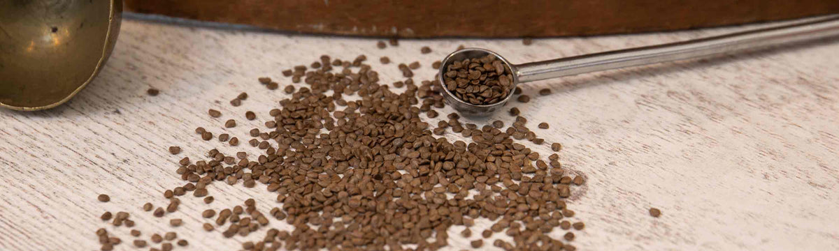 Cress Seeds