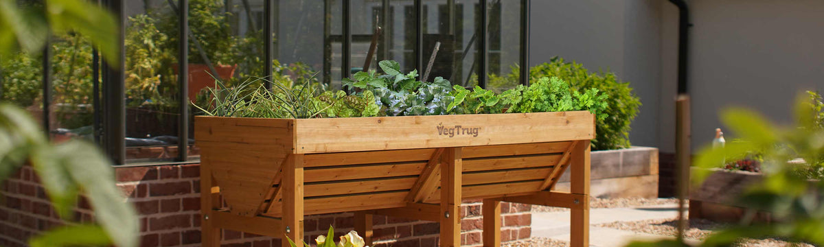 Raised Beds