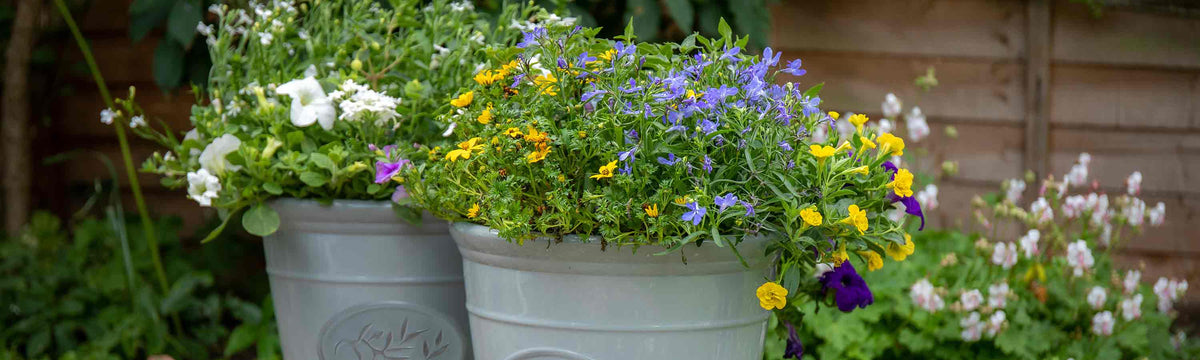 Pots, Planters & Baskets