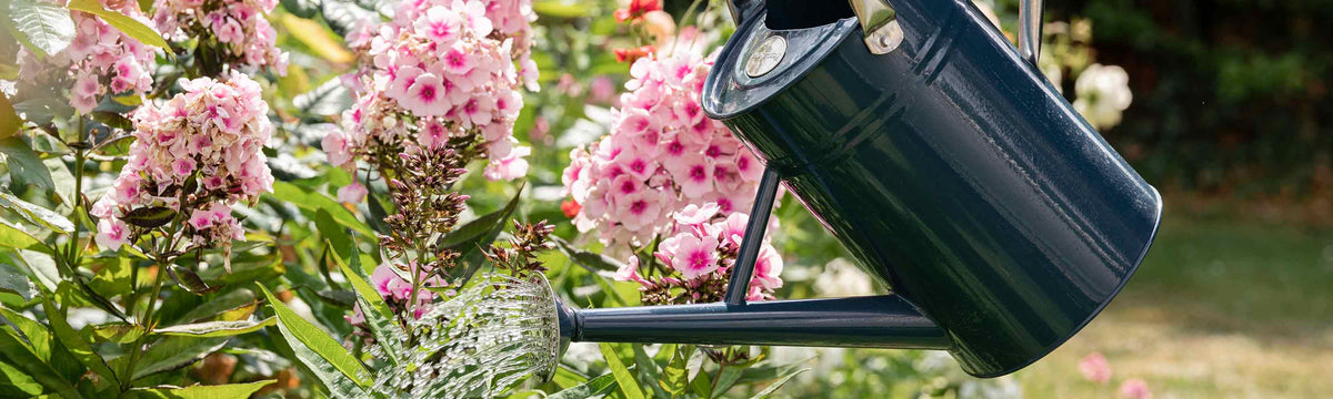 Watering Collection