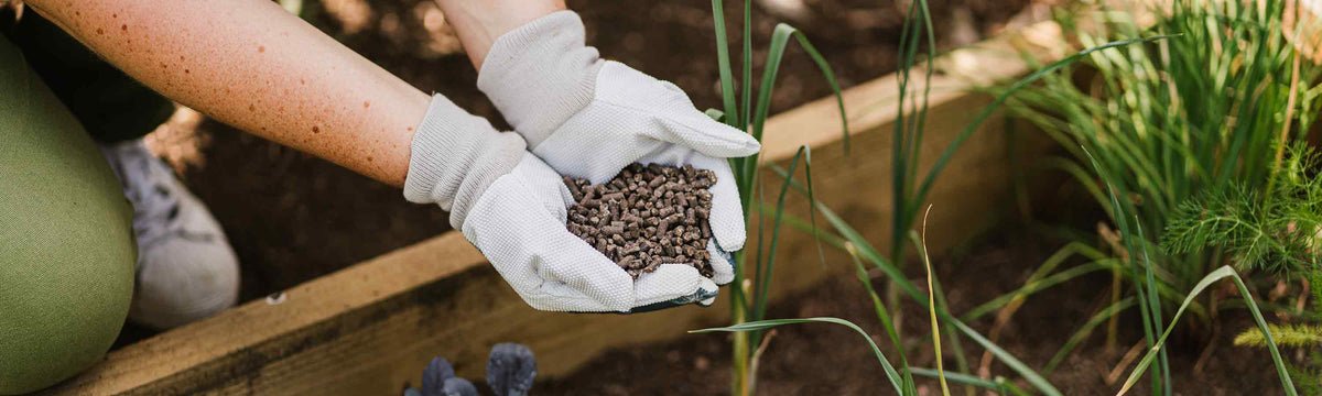Plant Food & Fertilisers