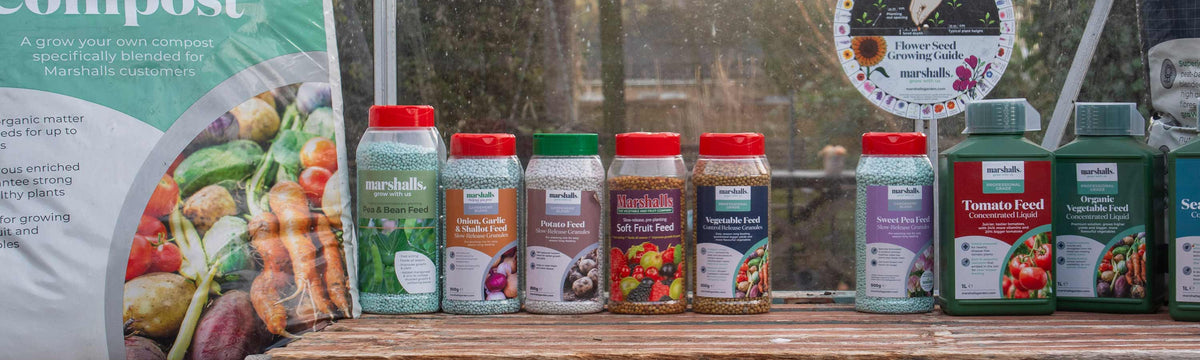 Specialist Plant Food