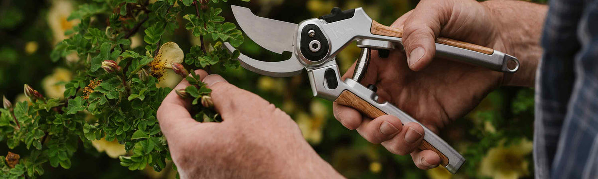 Garden Tools