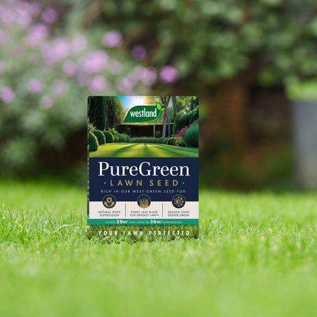 Westland PureGreen Lawn Seed