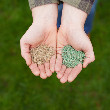 Westland PureGreen Lawn Seed