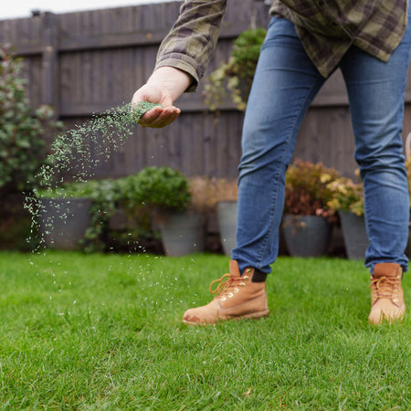 Westland PureGreen Lawn Seed