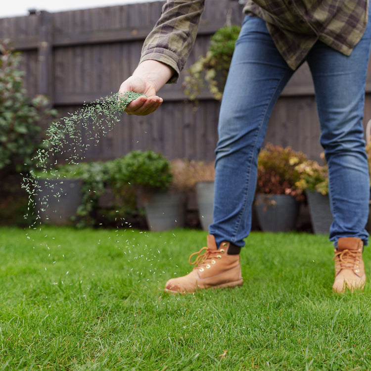 Westland PureGreen Lawn Seed