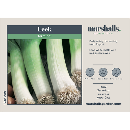 Leek Seeds 'Early and Late Duo Pack'