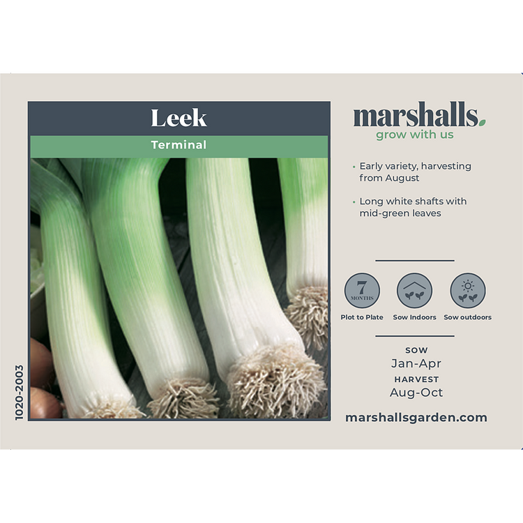 Leek Seeds 'Early and Late Duo Pack'