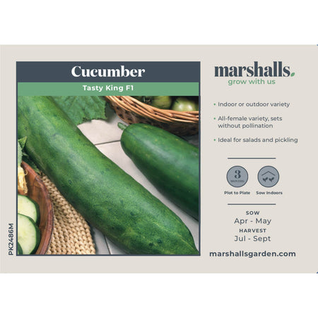 Cucumber Seeds 'Tasty King'