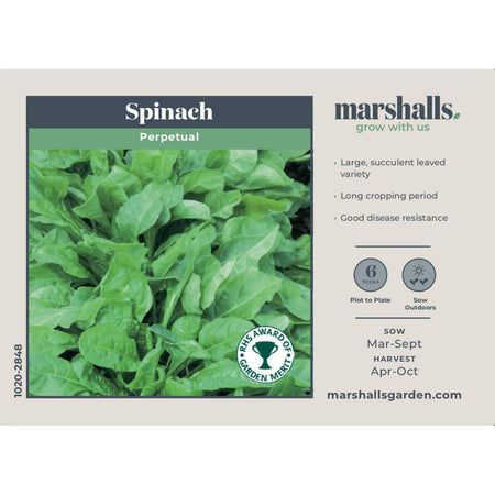 Spinach Seeds 'Perpetual' and 'Nevada' Duo Pack
